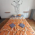 Elefantos * Kaposvár