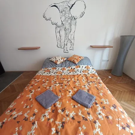 Elefantos * Kaposvár