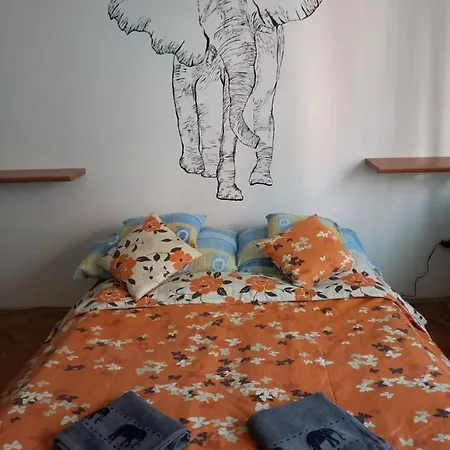 Elefantos * Kaposvár