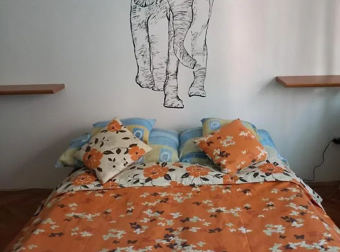 Elefantos * Kaposvár